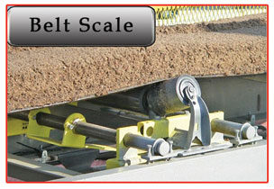 PWI High Precision Belt Scale